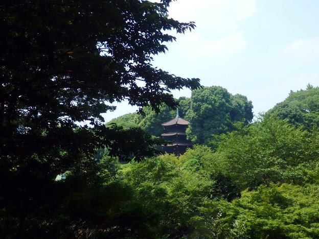 椿山荘