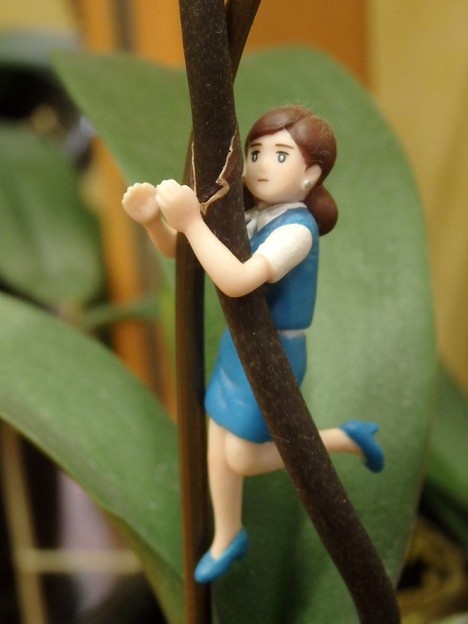 コップのフチ子