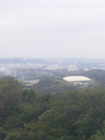 SBSH0839