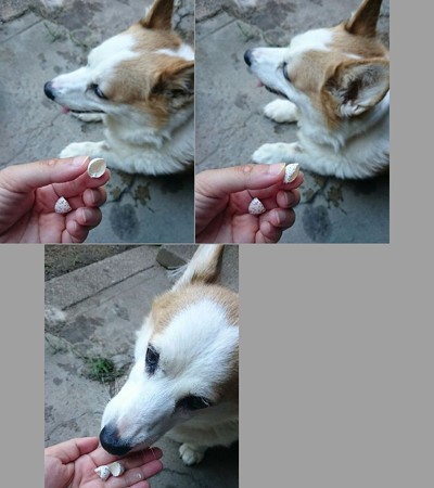 ツバ子
