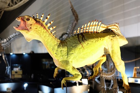 2015.07.27　2015 ヨコハマ恐竜博　復元模型-1