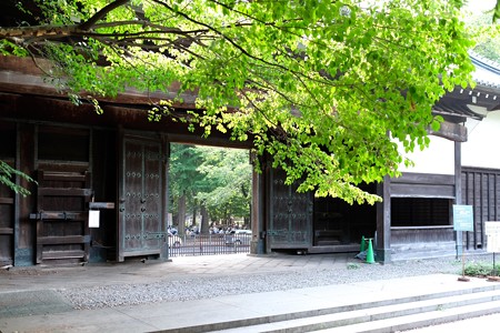 2015.08.15　東京国立博物館　黒門