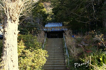 白山神社(鎌倉）・・4