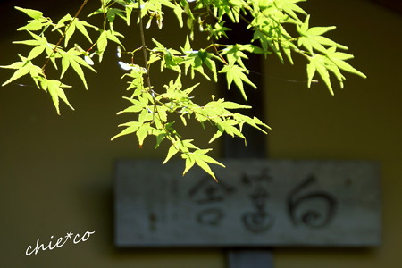 東慶寺~水無月-260