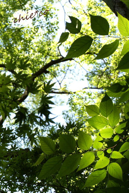 東慶寺~水無月-323