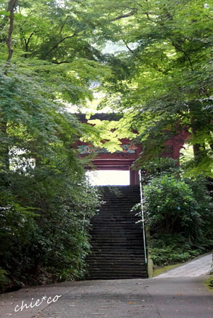 鎌倉-358