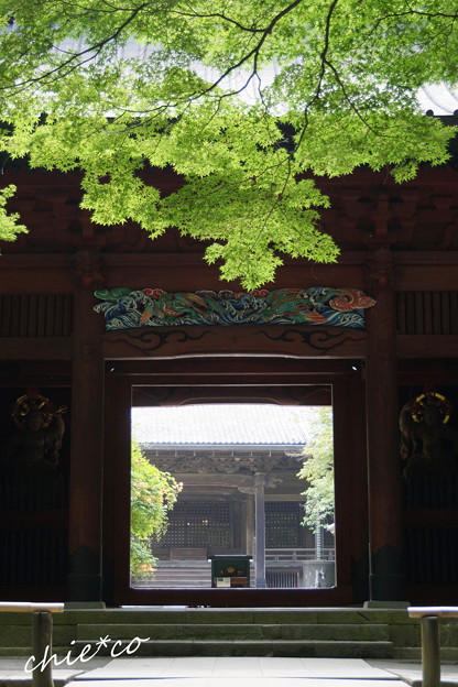 鎌倉-366