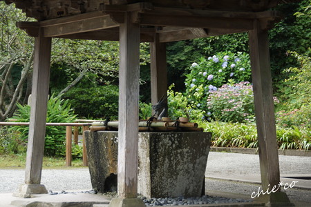 鎌倉-367