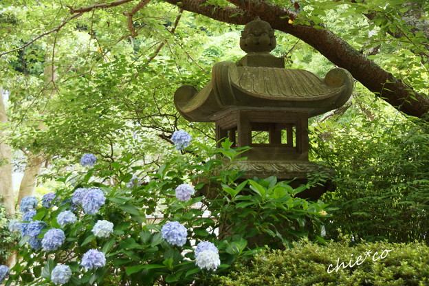 鎌倉-369