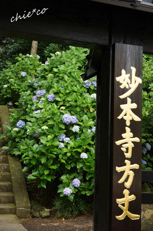 鎌倉-387