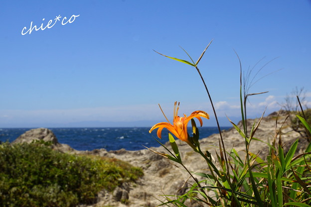 DSC05465-001