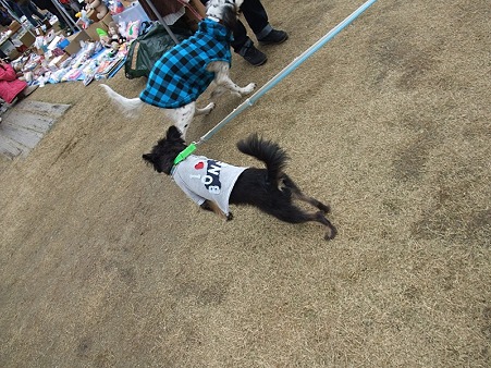 こやつはすぐに分かった(汗)
