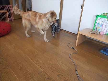 春の事も覚えてる?