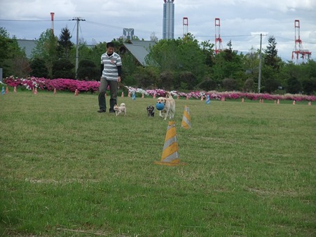 DSCF5852