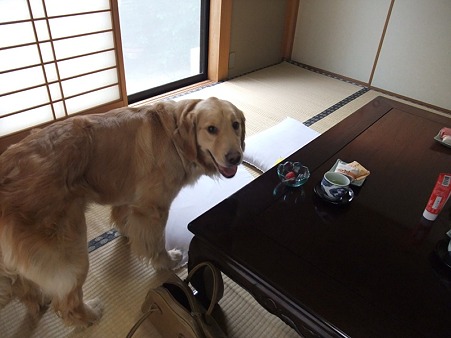 それ、わたしのいちごやで