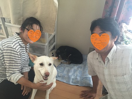 結愛(ゆあ)に家族が出来ました!