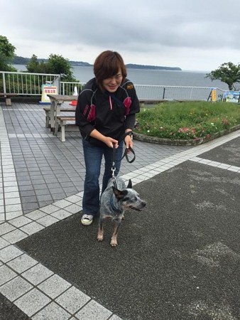 ほら、迎えに来てくれたよ♪