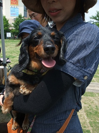 素敵なladyになったね