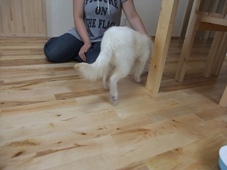 まだちょっとシャイで