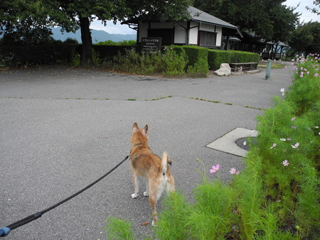 2015-08-21-06