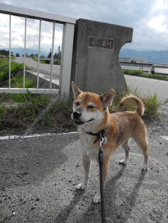 2015-08-21-16