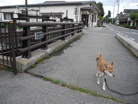 2015-08-21-25
