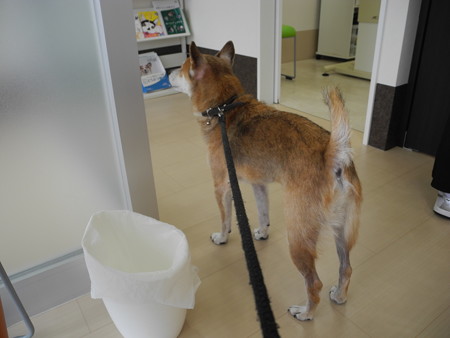 2015-08-22-01