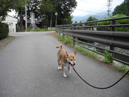 2015-08-22-03