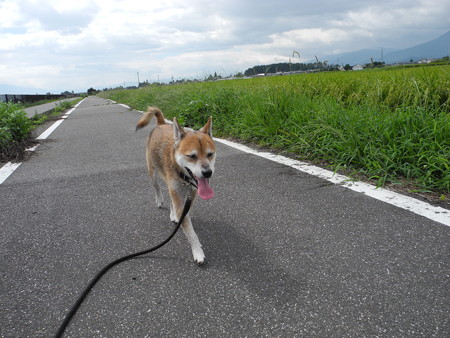 2015-08-22-10