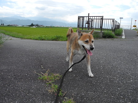 2015-08-22-12