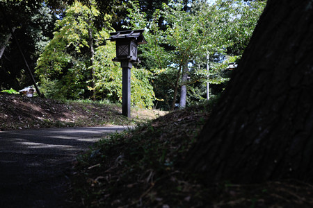 日陰2
