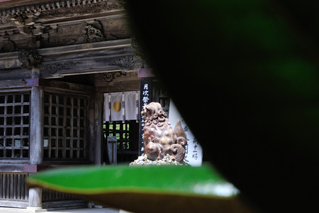 狛犬をやはり木陰より?