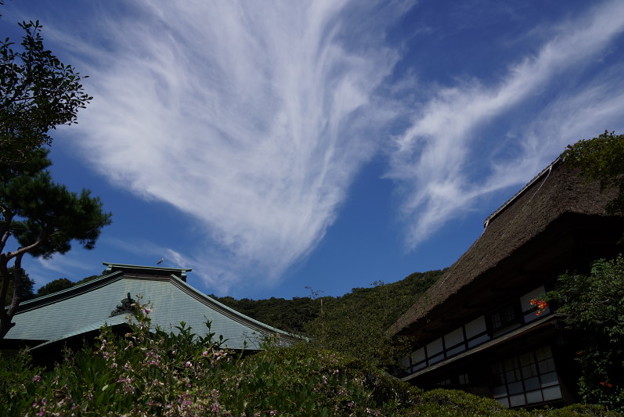 海蔵寺の秋雲20150912