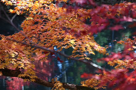洞光寺 - 009