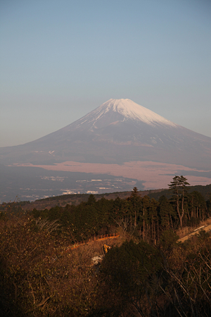 山中城・岱崎出丸 - 012