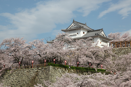 津山城 - 013