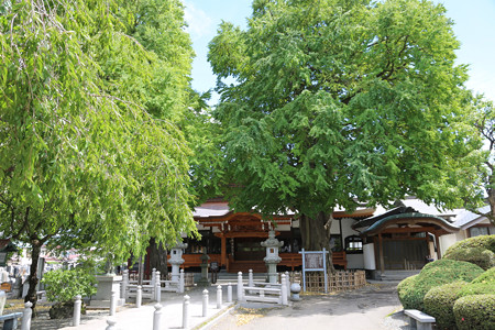 円光寺 - 01
