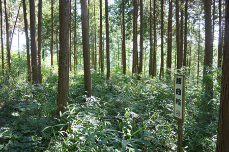 和田城 - 04