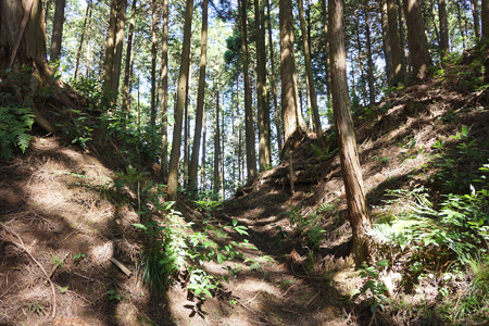 和田城 - 05