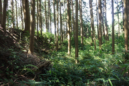和田城 - 08