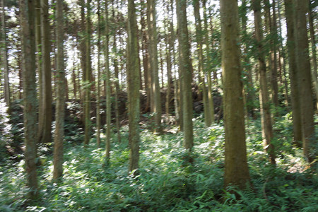 和田支城II - 02