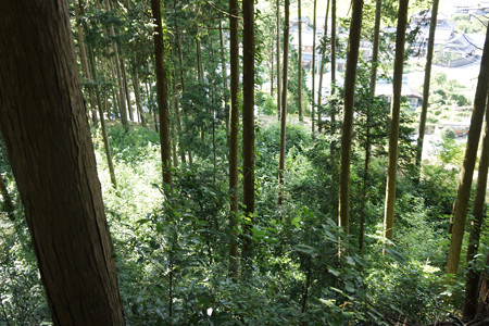 殿山城 - 03
