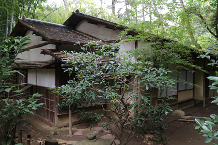 三渓園・蓮華院 - 19