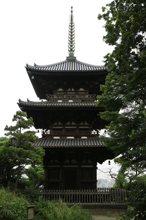 三渓園・旧燈明寺三重塔 - 20