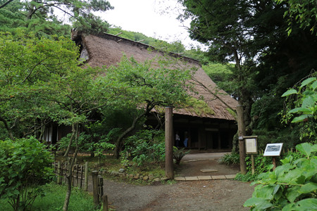 三渓園・旧矢箆原家住宅 - 24