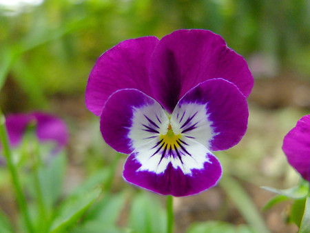 DSCF6694
