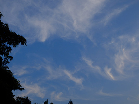 DSCF8557
