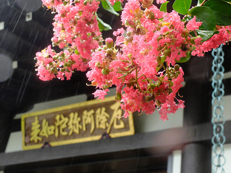 DSCF1081