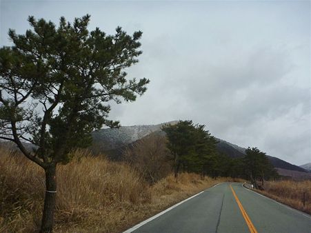 DSCN0485