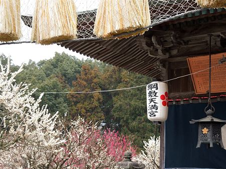 DSCN0951